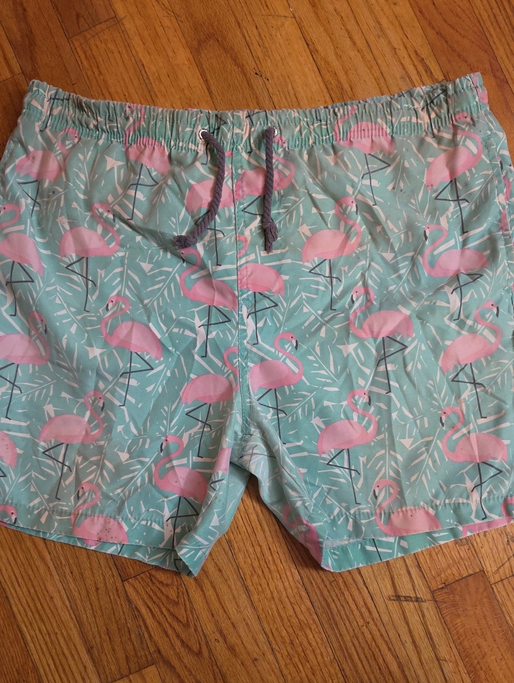 Ingear Mint Green Swim Trunks with Pink Flamingo Print